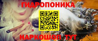стафф Пенза