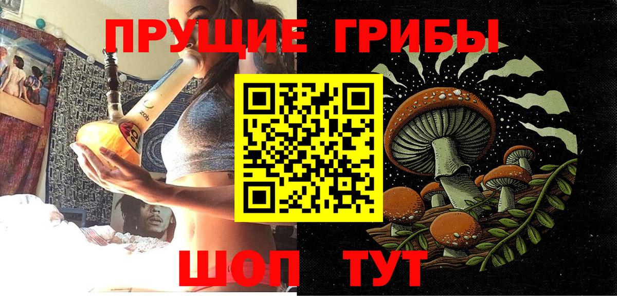 Псилоцибиновые грибы Psilocybine cubensis  наркота  Галлюциногенные грибы Cubensis  Семёнов  Вход с VPN 