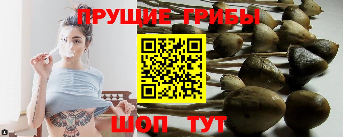 Галлюциногенные грибы прущие грибы Семёнов